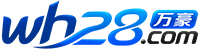 大客户28预测网